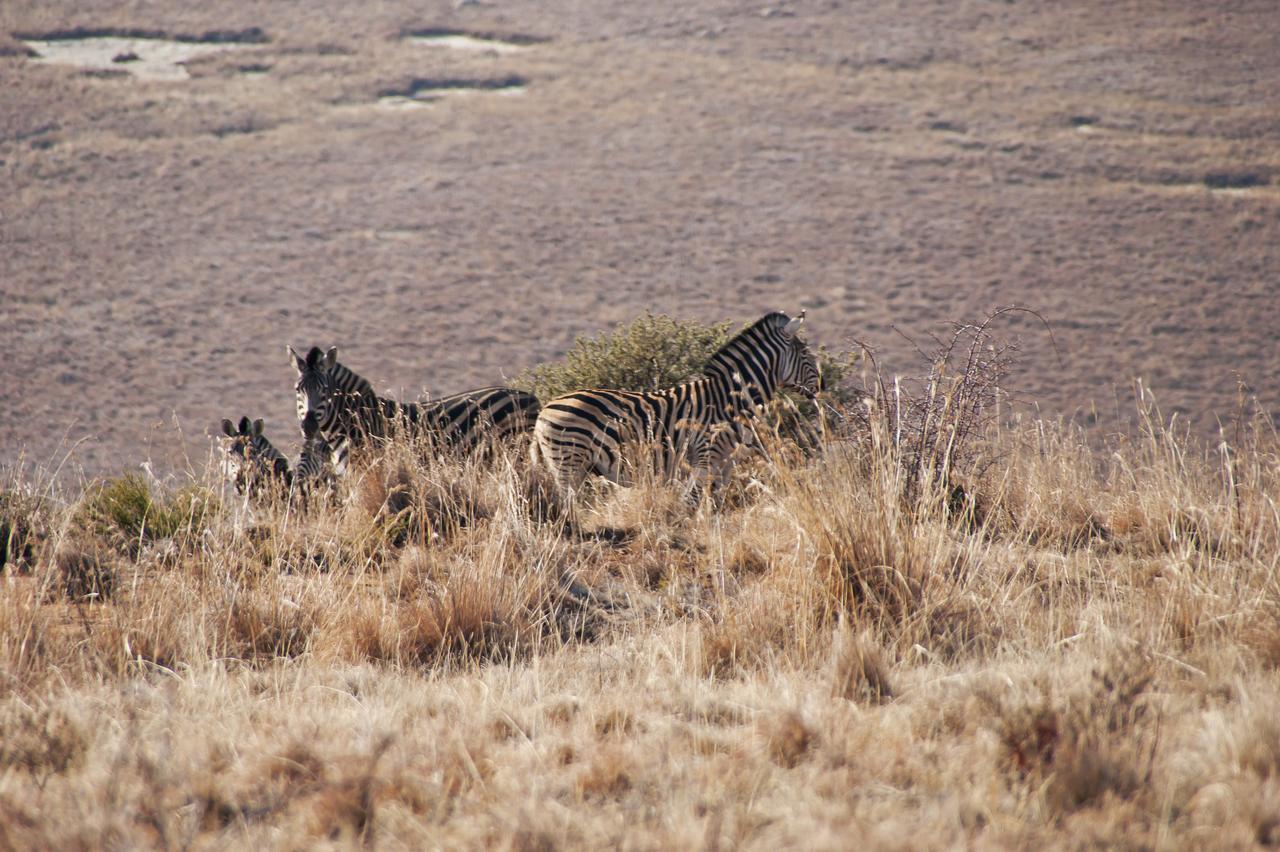 De Ark Mountain Lodge Clarens Eksteriør bilde